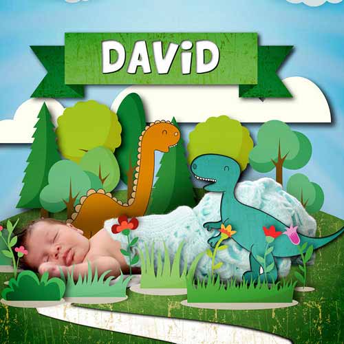 david photo new born